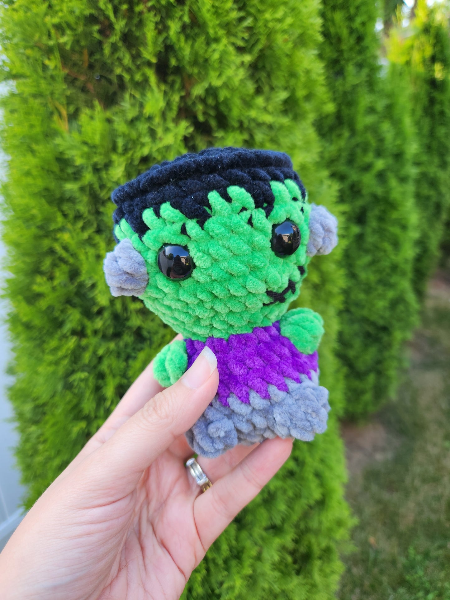 Mini Frankenstein Spooky Pal *NOT A PHYSICAL PRODUCT